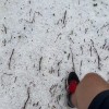 meteoinfo___arnovo_selo.jpg