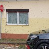 krsko_j_korsic__1_.jpg