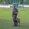 nogometni-tabor, nk-čarda, policijska-enota-s-službenimi-psi