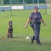 nogometni-tabor, nk-čarda, policijska-enota-s-službenimi-psi