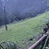 neurje, prevalje