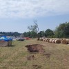 bomba, nova gorica