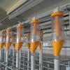 prašičja-farma-kmetija-ljutomerčan, cven, prašičereja, kmetijstvo
