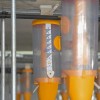 prašičja-farma-kmetija-ljutomerčan, cven, prašičereja, kmetijstvo