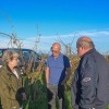 neurje, kmetijstvo, irena-šinko, radgonske-gorice, vinogradi