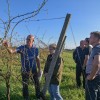 neurje, kmetijstvo, irena-šinko, radgonske-gorice, vinogradi