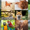 psihologija foto Shutterstock.jpg