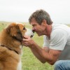 Dog’s Purpose movie.jpg