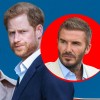Harry , Meghan in David