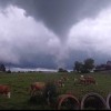tornado, koseze