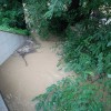 reka-mura, poplave
