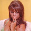 Claudia Cardinale velja ob Sophii Loren in Gini Lolobrigidi za eno od treh velikih ženskih imen ital
