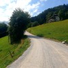 Cesta Čeče -Hrastnik .jpg