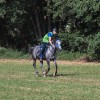 vzdržljivostno-jahanje-endurance-goričko-2023, konj, konji, dolnji-slaveči