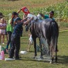 vzdržljivostno-jahanje-endurance-goričko-2023, konj, konji, dolnji-slaveči