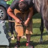 vzdržljivostno-jahanje-endurance-goričko-2023, konj, konji, dolnji-slaveči
