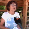 Ana Krebs.jpg