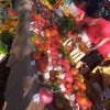 paradizniki_009.jpg