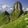 Daubenhorn