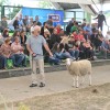 gornja-radgona, sejem-agra-2023