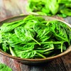 _spinaca.jpg