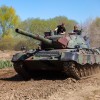 leopard 1
