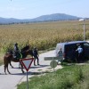 img_0628_000.jpg