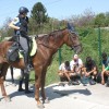 img_0603_000.jpg