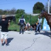 img_0607_000.jpg