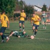 nk-polana, nk-bistrica, velika-polana