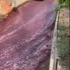 vinska-reka.jpg