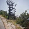 kraj nesreče, lupoglav.jpg