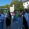 sticna_008.jpg