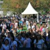 sticna_020.jpg