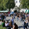 sticna_004.jpg