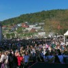 sticna_018.jpg