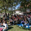 sticna_030.jpg