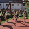 sticna_028.jpg