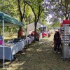 festival-buč, madžarska, szalafo, buče