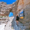 878688_225-kanin_soncni_kanin4.jpg