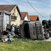 svinje2.jpg