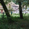 lotmerški-trail-tek, ljutomer, andreja-gorčan, markovič