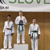 judo, prlekija-open