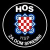 Patch_of_the_Croatian_Defence_Forces.svg.png
