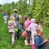 trgatev, vrtec-manka-golarja-gornja-radgona, enota-črešnjevci