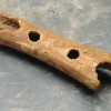 _zzneandertalceva_piscal_image.jpg