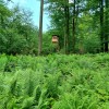 20200602_140757.jpg