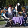 cven, čutna-in-motorična-pot, odprtje