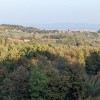 pxl_20231014_062551926.jpg