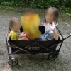 Bollerwagen.jpg